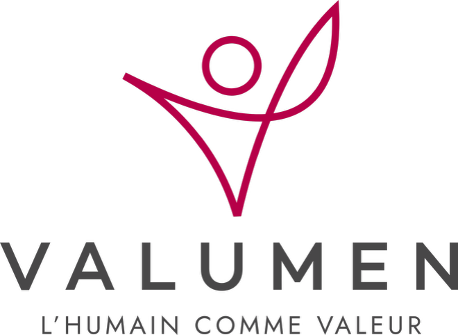 VALUMEN Executive Search