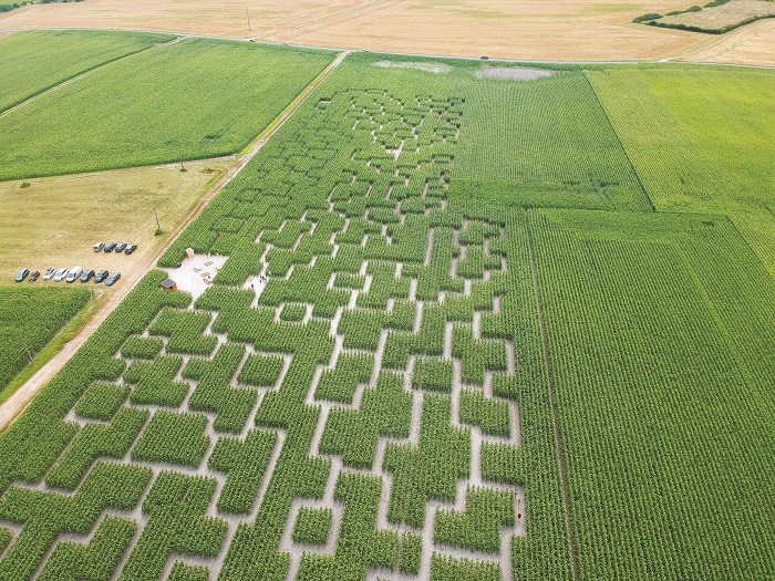 Franchise Pop Corn Labyrinthe
