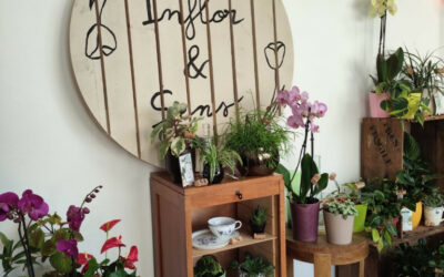 Comm’une opportunité Bais : quand une plateforme recrée le lien entre entrepreneurs et territoires