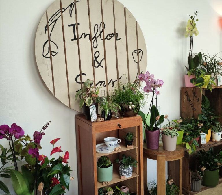 Comm’une opportunité Bais : quand une plateforme recrée le lien entre entrepreneurs et territoires