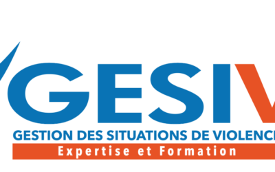 GESIVI Système : mieux comprendre les comportements pour gérer les situations professionnelles sensibles