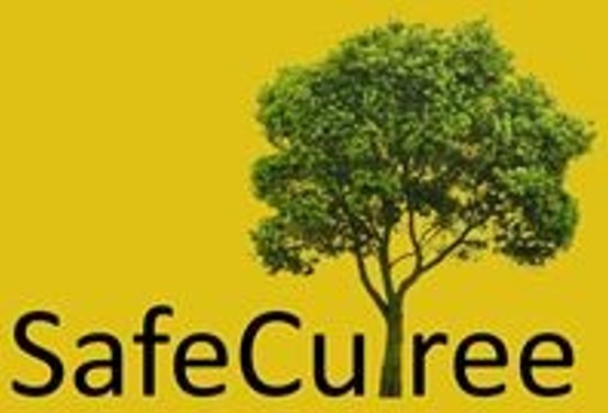 SafeCuTree : éloigner l’opérateur du danger pour repenser la sécurité dans l’élagage